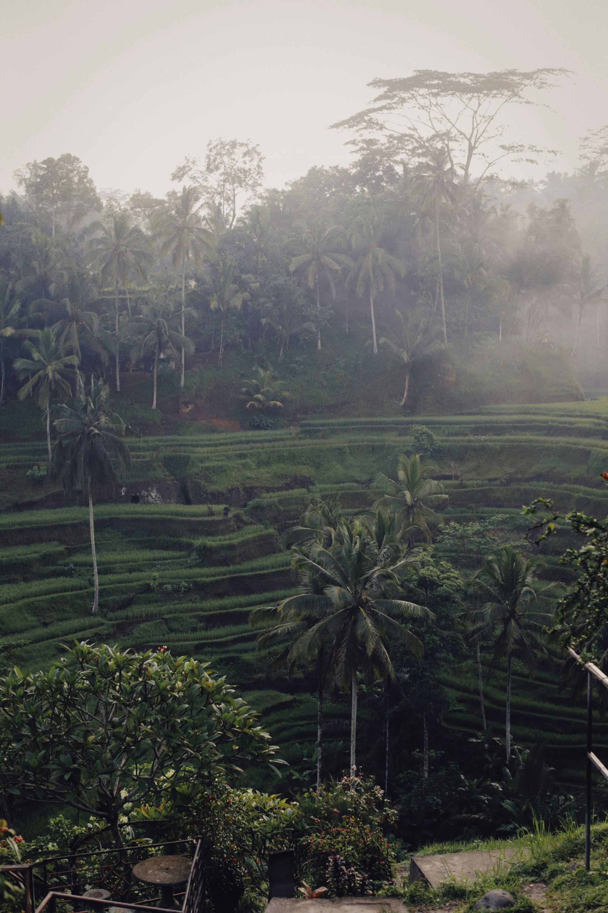 Terraced hillside under low cloud, shaped by generations